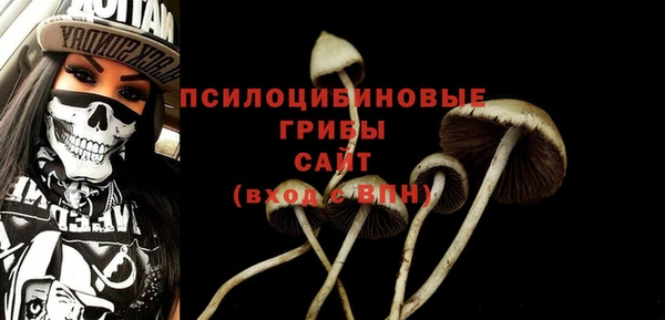 стафф Каменногорск