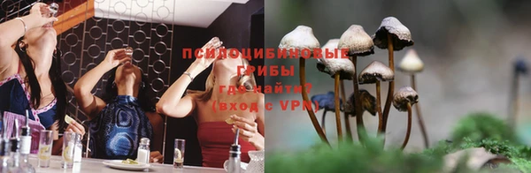 стафф Каменногорск