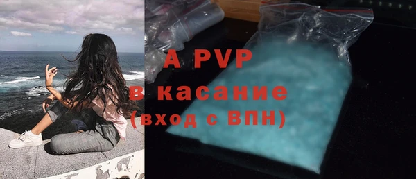 стафф Карпинск