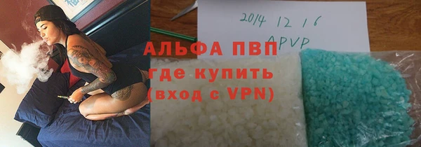 ПСИЛОЦИБИНОВЫЕ ГРИБЫ Каменка