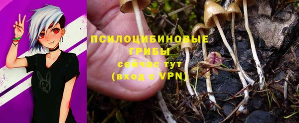 MDMA Premium VHQ Касимов
