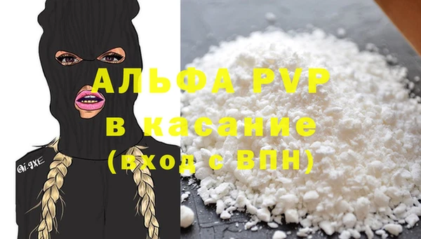 стафф Каменногорск