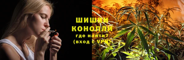 ПСИЛОЦИБИНОВЫЕ ГРИБЫ Каменка