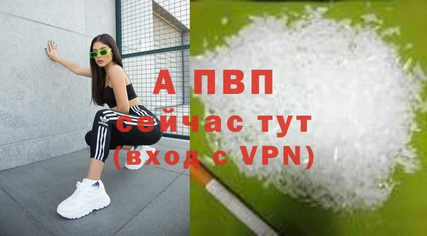 стафф Каменногорск