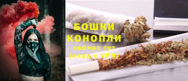 стафф Каменногорск